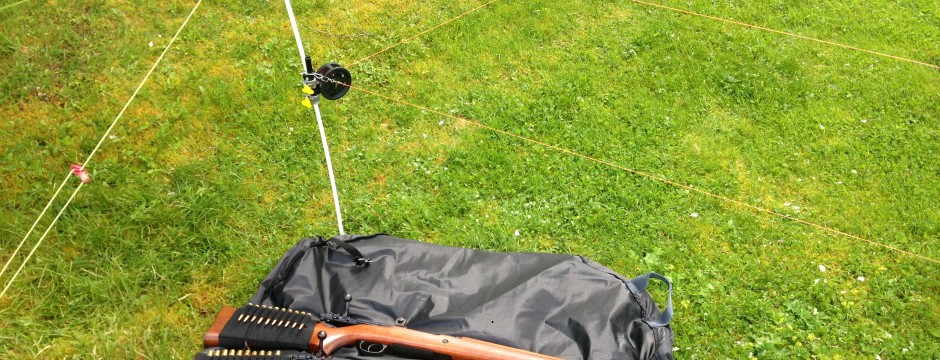 Two rifles lay next to a bear defence fence